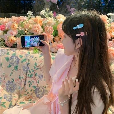 完美伴侣